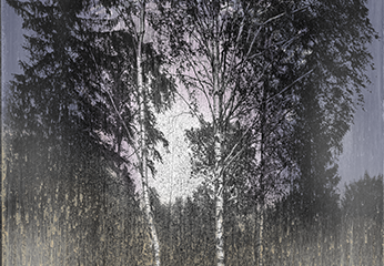 Matthew Brandt. Orphic Forest