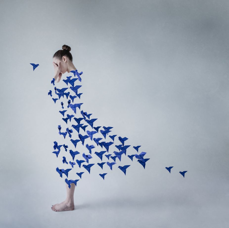 Dasha Pears. The Final Bit