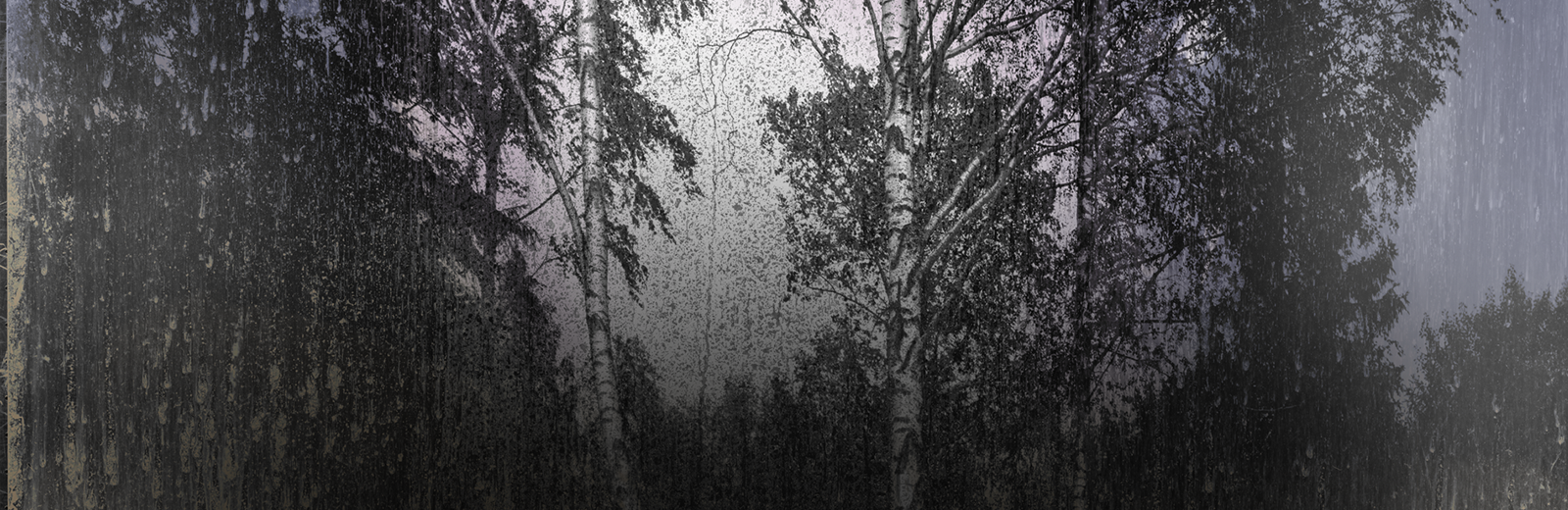 Matthew Brandt. Orphic Forest 