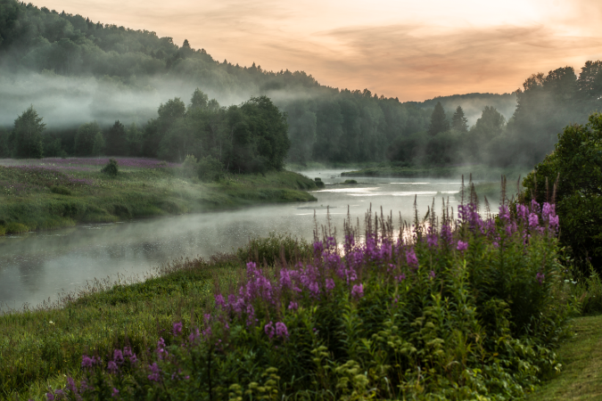 Изменения в режиме работы выставок 31 октября