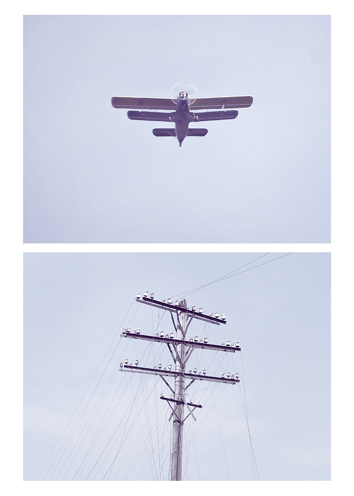 Zhenya Mironov. Constructing Metaphors