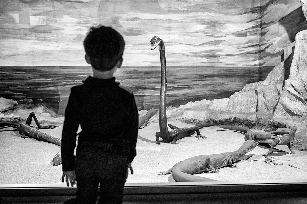 Gérard Uféras. A Day in the Museum 2