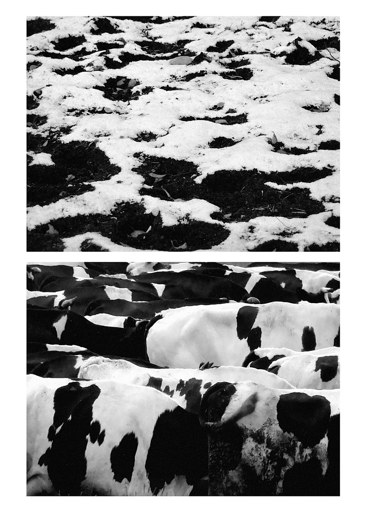 Zhenya Mironov. Constructing Metaphors