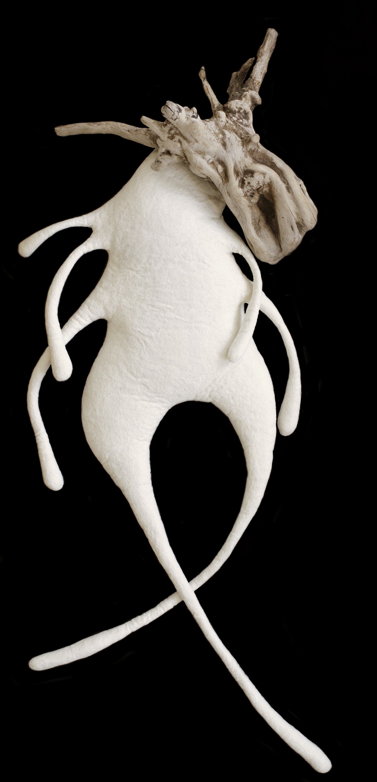 Ksenia Shinkovskaya. Soft Submersion