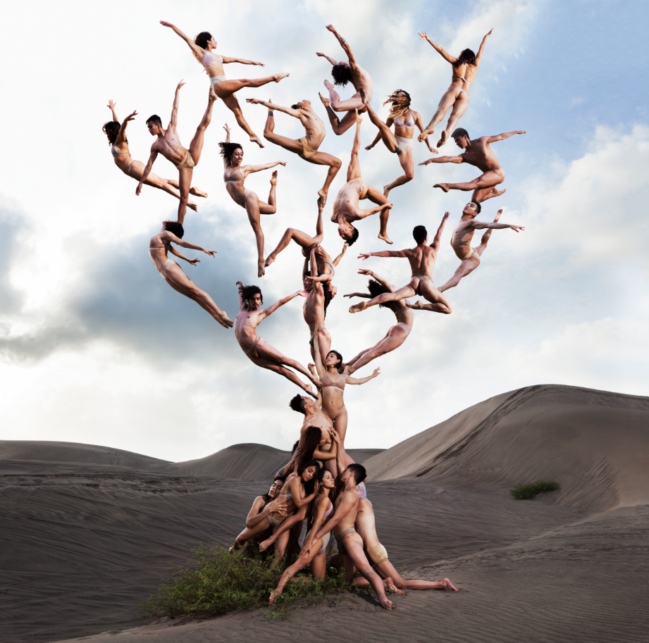 Rob Woodcox. Unlimited Capabilities of the Body