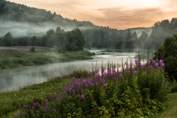 Changes in Exhibition Opening Hours on 31 October