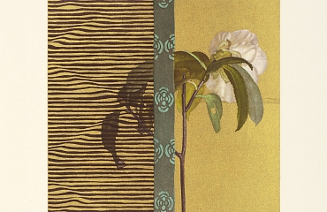 Hiroaki Miyayama. Genji Monogatari