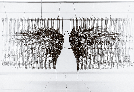 Special Opening Hours of the Exhibitions on Floors 1 and 5 of the Exhibitions Wing