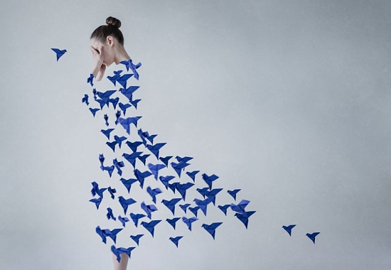Dasha Pears. The Final Bit