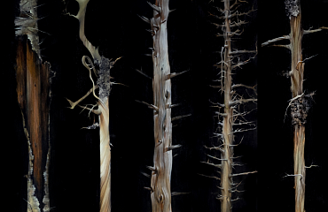 Victoria Ivanova. Forest