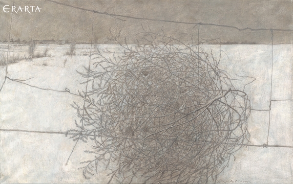Tumbleweed, Evgeniy Kravtsov