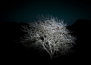 Changes in the Opening Hours of Yuri Catania’s Exhibition on 27 April