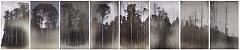From the AgXSP Series