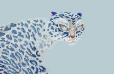 Ji Minsun. Land of the Tiger