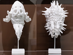 Archichimeras