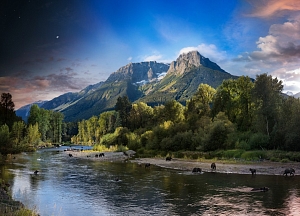 Changes in Exhibition Opening Hours on 28 and 29 January