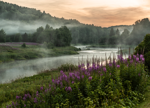 Изменения в режиме работы выставок 31 октября